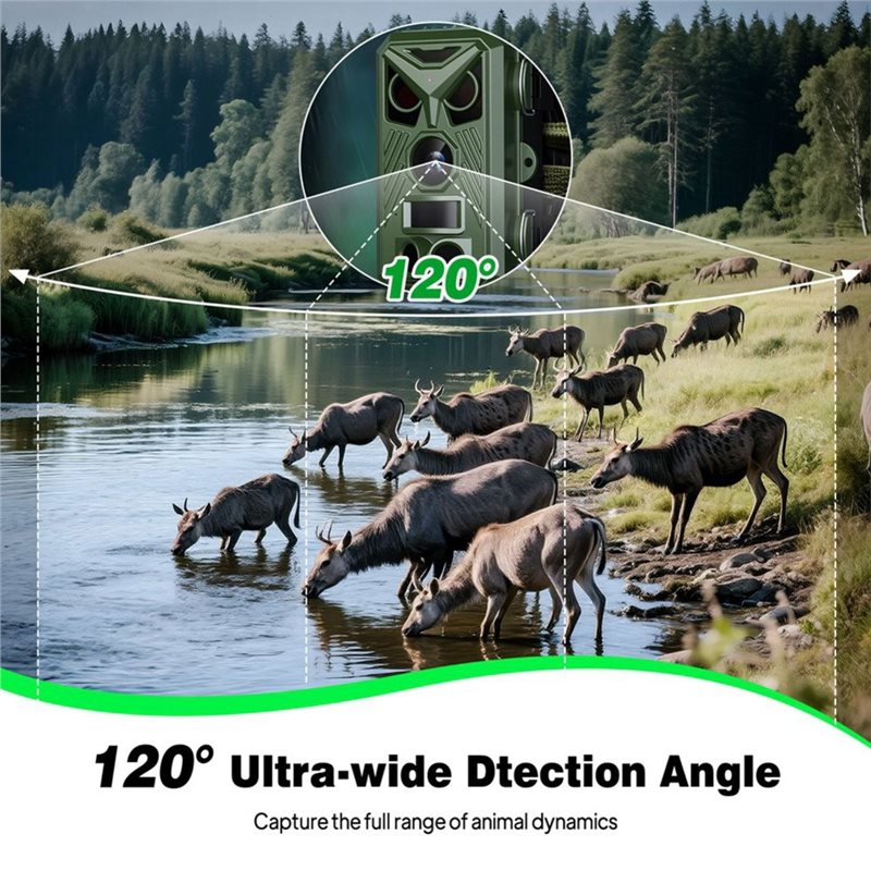 BTLIFE - Caméra de surveillanc - Trail Camera Infrared avis et prix