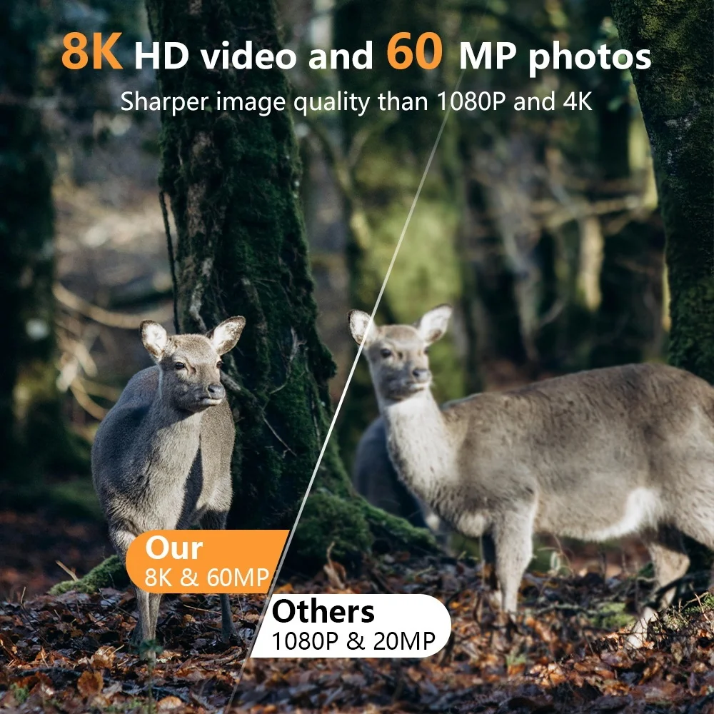 Caméra de suivi des sentiers W - Trail Camera Infrared avis et prix