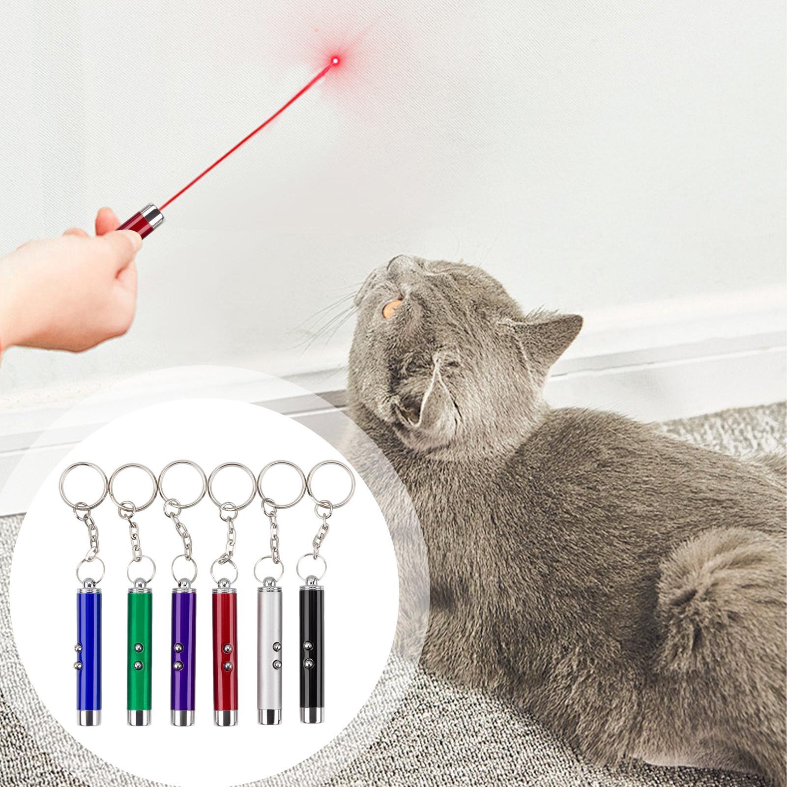 Jouets pour chats de chasse, b - Trail Camera Infrared avis et prix
